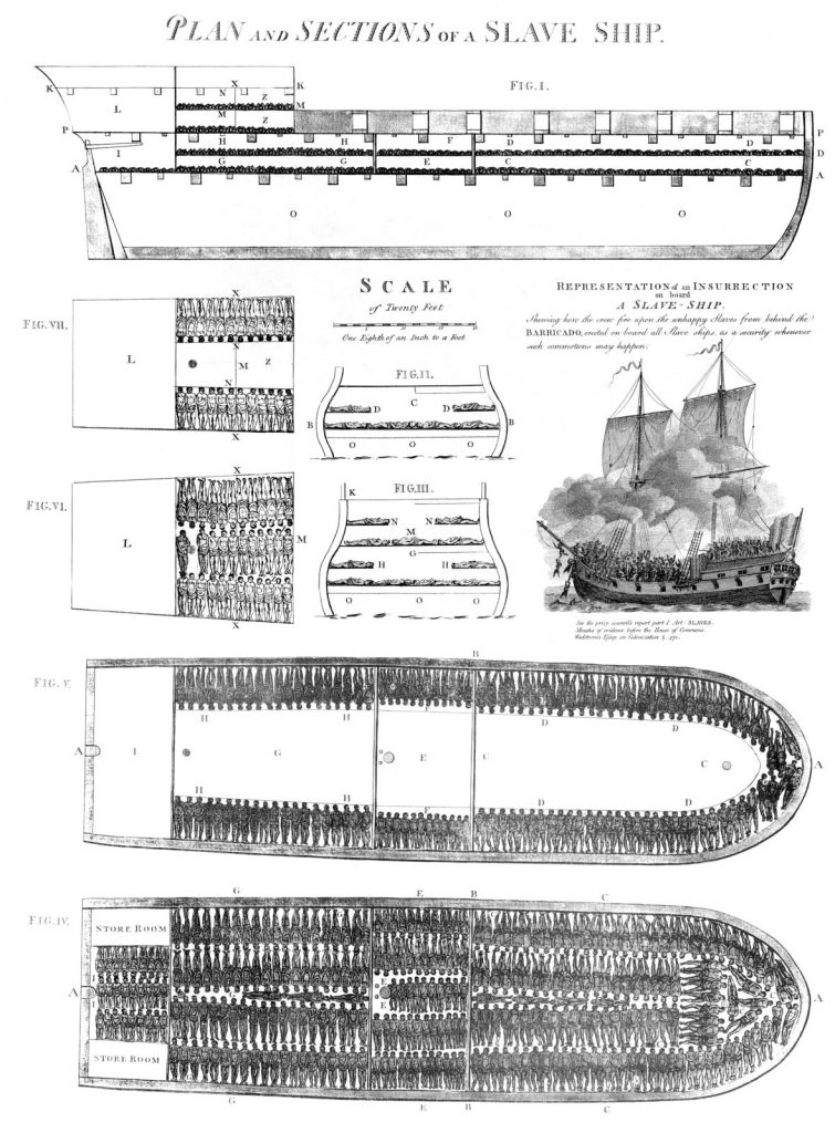 Plan of the British Slave Ship Brookes, 1789